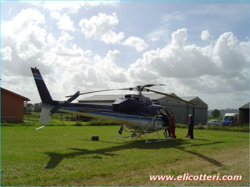 elifoto (87)